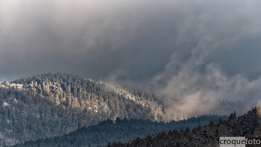 brume brume