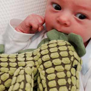 la faim des dinosaures