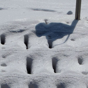 terrasse d'hiver