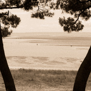 jumeaux à la plage
