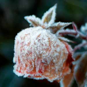 givre